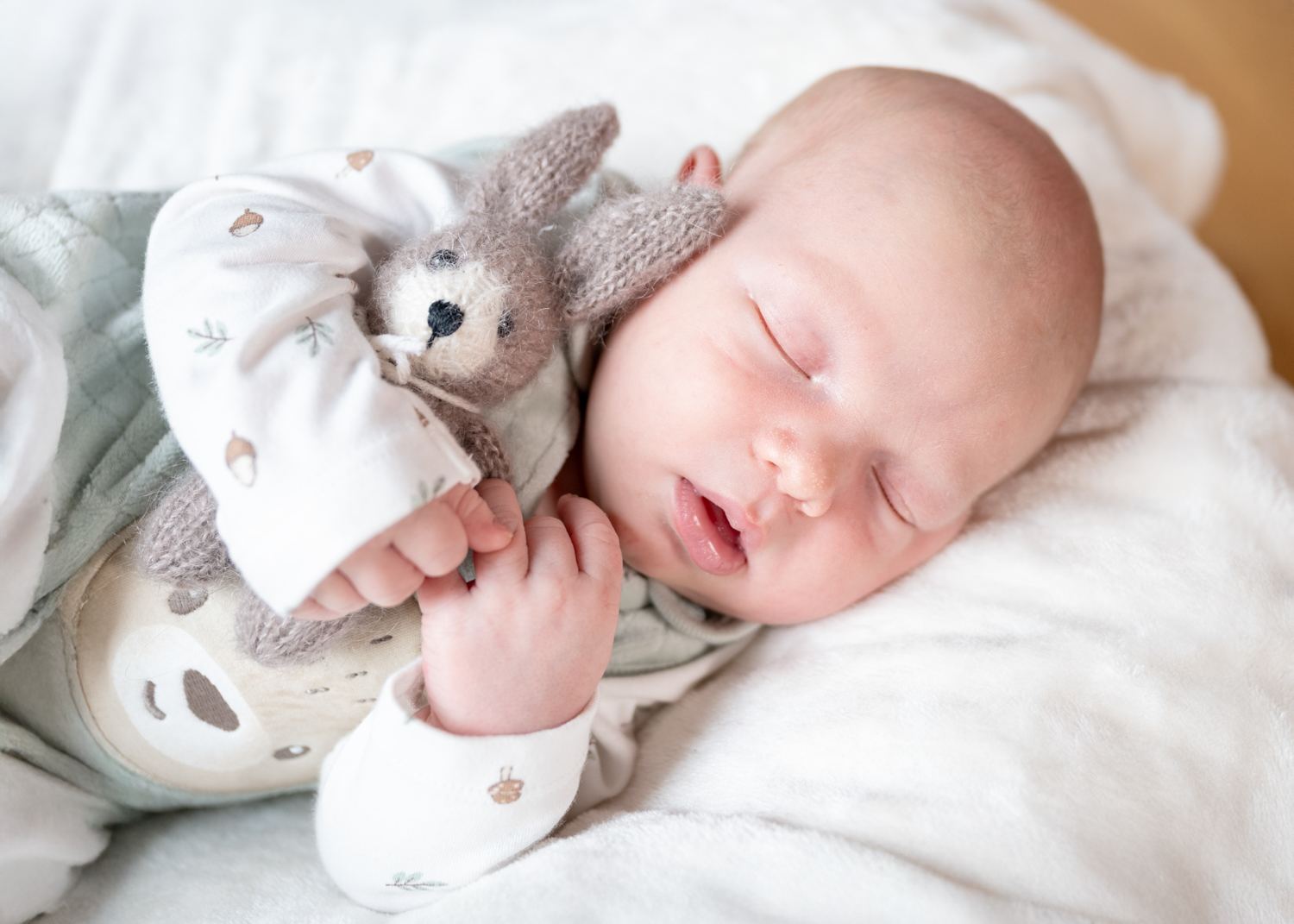 Newbornbild im Korb. Baby shooting von Linz bis Amstetten. Babyfotograf